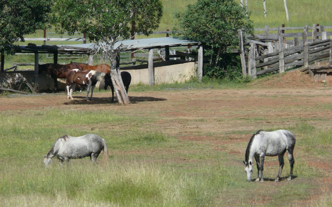 Centrelink asset rules, farm land for retirees, Centrelink exemptions, financial advice